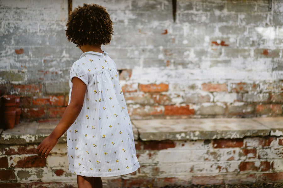 Hera dress - clover floral seersucker